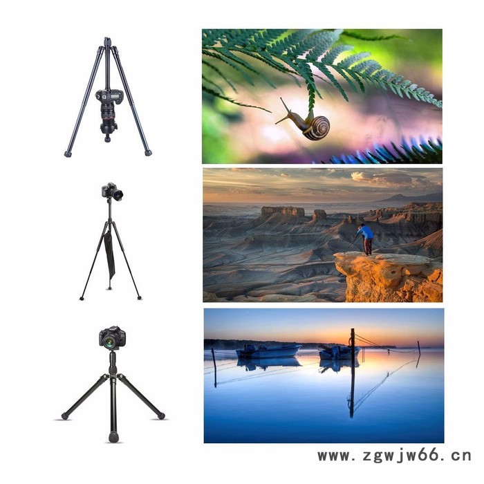 ** 单反相机三脚架云台 摄影摄像直播旅行户外三角架 自拍杆三脚架图5
