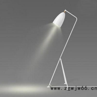 北欧铁艺落地灯客厅书房铁艺三脚架落地灯 工业风复古三叉落地灯