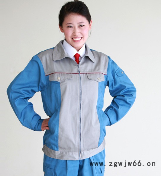 供应晨阳工作服T恤 风衣 工作服图2