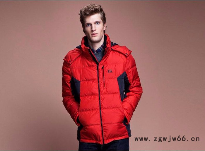 保暖防寒男女羽绒服  棉衣 棉袄 工作服加工定制图2