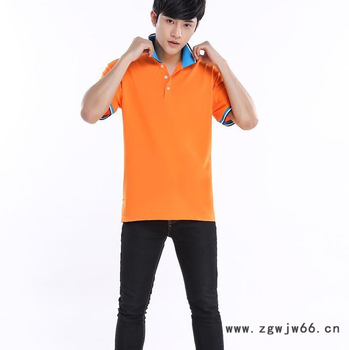 WDL班服翻领t恤polo衫定制纯棉短袖定做广告衫印制文化衫工作服logo图8