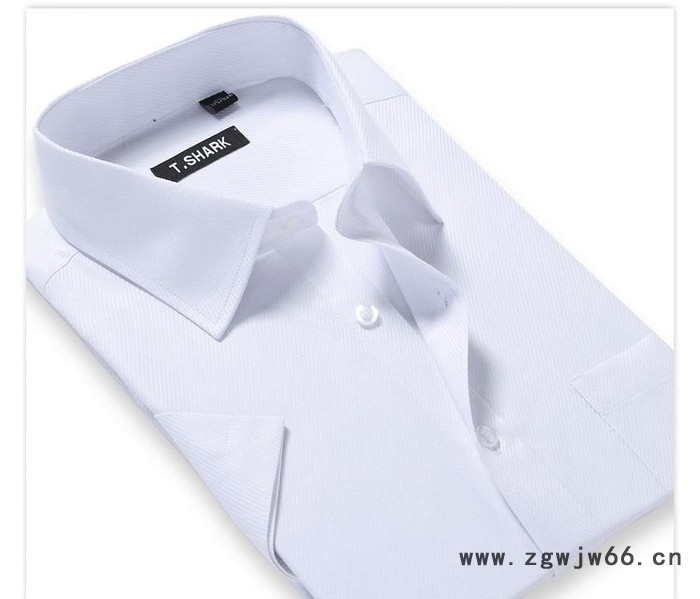 春秋男女职业装衬衣正装深圳工作服长袖衬衫定做可绣logo图3