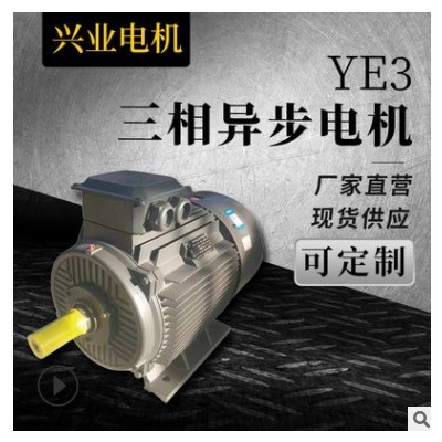 YE3系列卧式三相异步电动机YDT YEJ中速电动机 轻工机械电机