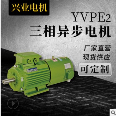批发零售 节能电机 震动电机 YVPE2三相异步电动机 电机