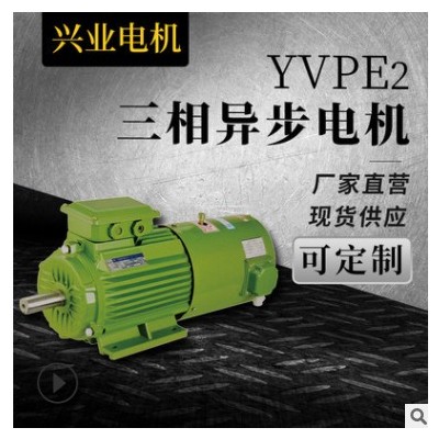 批发零售 节能电机 震动电机 YVPE2三相异步电动机 电机