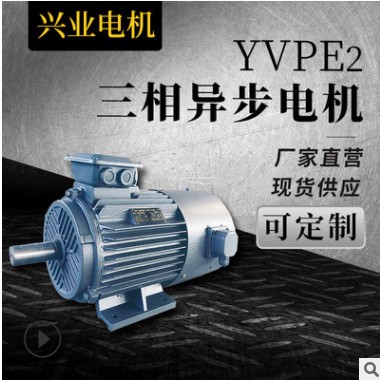 批发零售 节能电机 震动电机 YVPE2三相异步电动机 电机图3