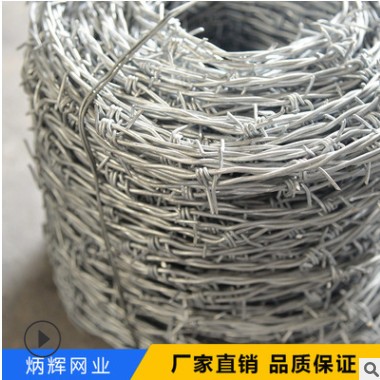 厂家现货批发 围墙防盗镀锌刺网 镀锌刀片刺绳 牧场带刺铁丝网图2
