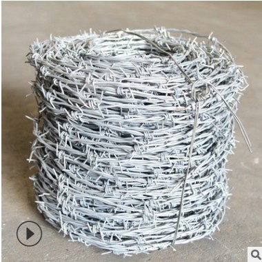 厂家现货批发 围墙防盗镀锌刺网 镀锌刀片刺绳 牧场带刺铁丝网图3