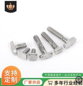 厂家直供 不锈钢T型螺栓 201/304/316 GB37 槽用T型螺栓丝加工图2