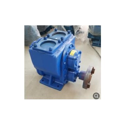 销售铸铁电动车载圆弧泵YHCB卧式高压单级圆弧泵尼龙轮圆弧齿轮泵