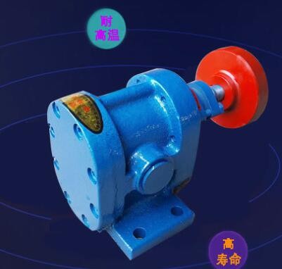 宏兴厂家销售2CY不锈钢齿轮泵增压输送泵 卧式电动抽油用泵图2