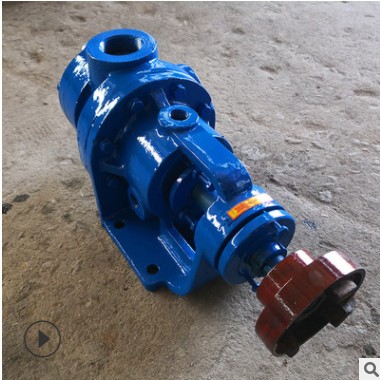 供应高粘度转子泵 NYP-3型白乳胶保温泵 内环式粘稠物体输送泵图2