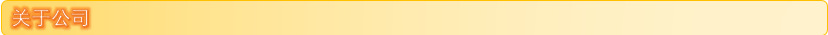关于公司.png