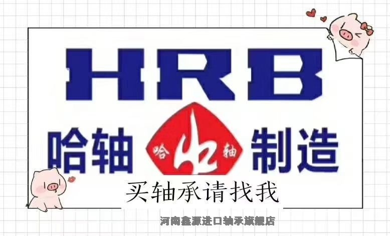 哈尔滨轴承HRB系列轴承信阳淮滨厂家新闻