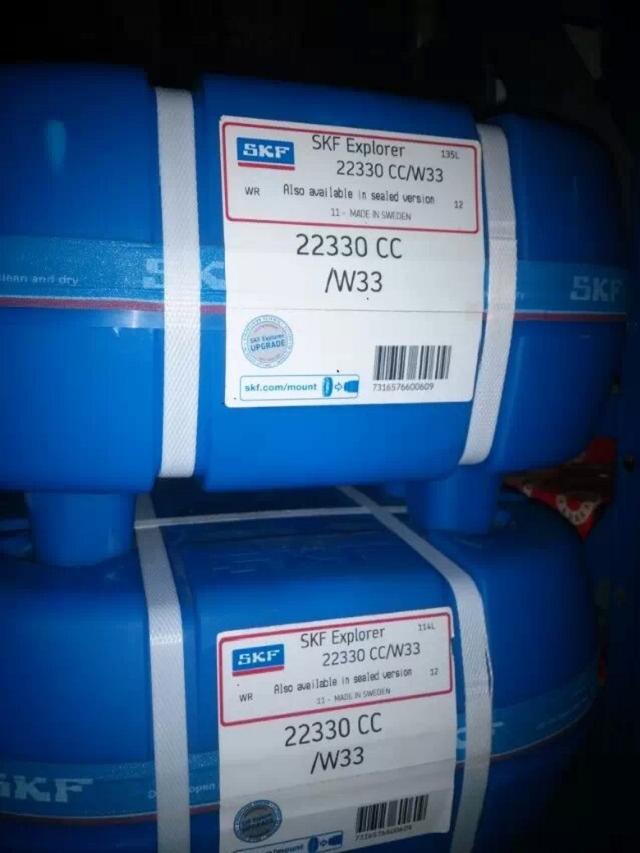 瑞典轴承6005/C3械桩工机械轴承原装进口轴承