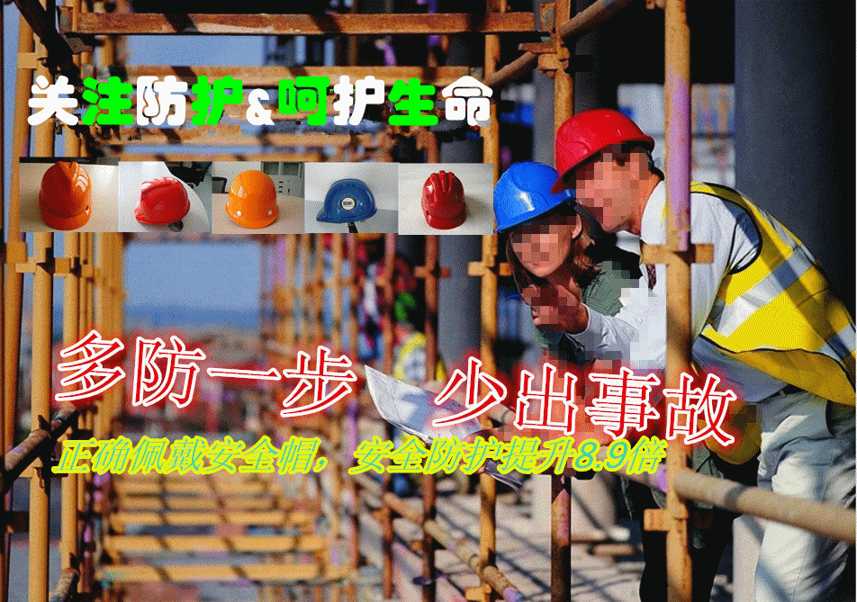 关注生命_副本_副本