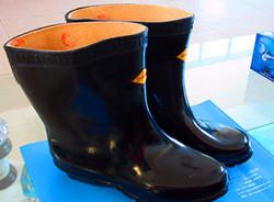 相机照片 136_副本