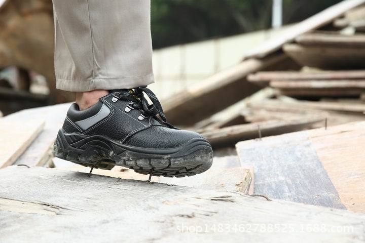 调整大小 FI3A5068