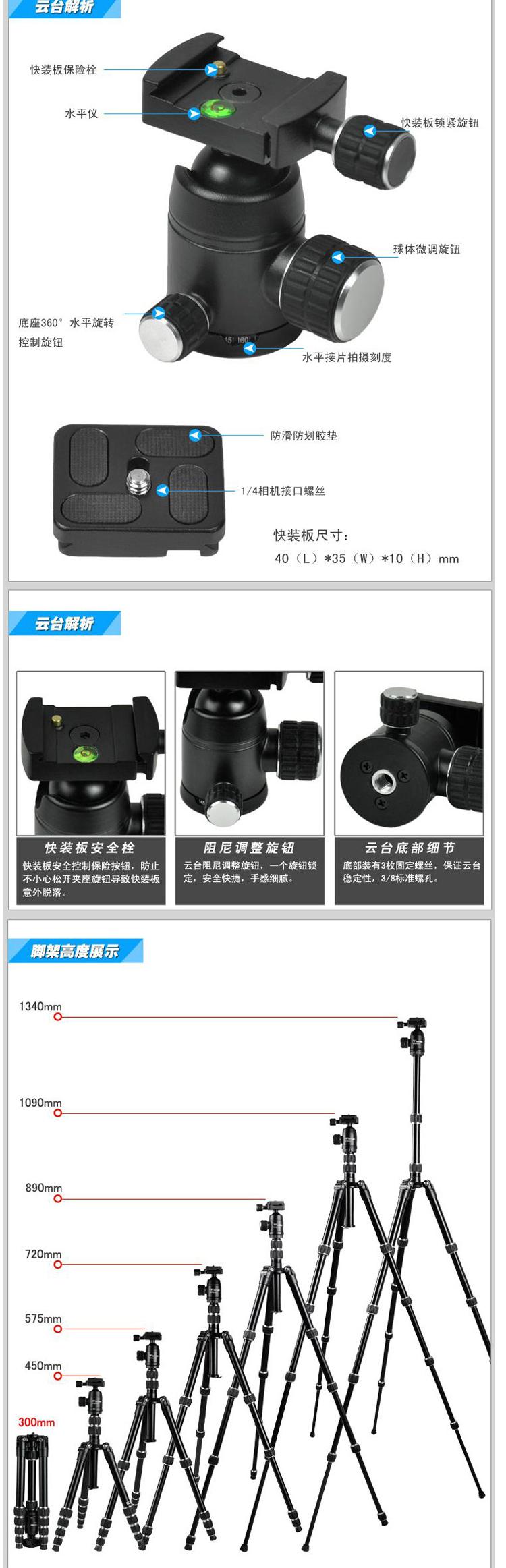 TB2FLf8XVXXXXaaXpXXXXXXXXXX_!!25475056.jpg (750&times;2527)