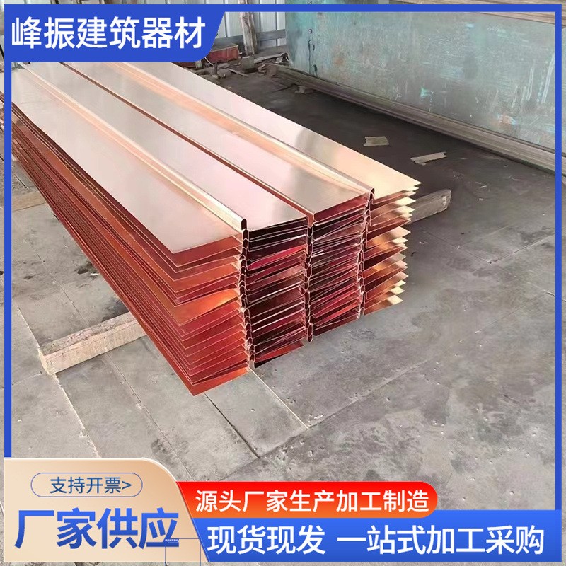 T2工程紫铜带材源头厂家 水坝河道工地止水铜板片可做U W V形图3